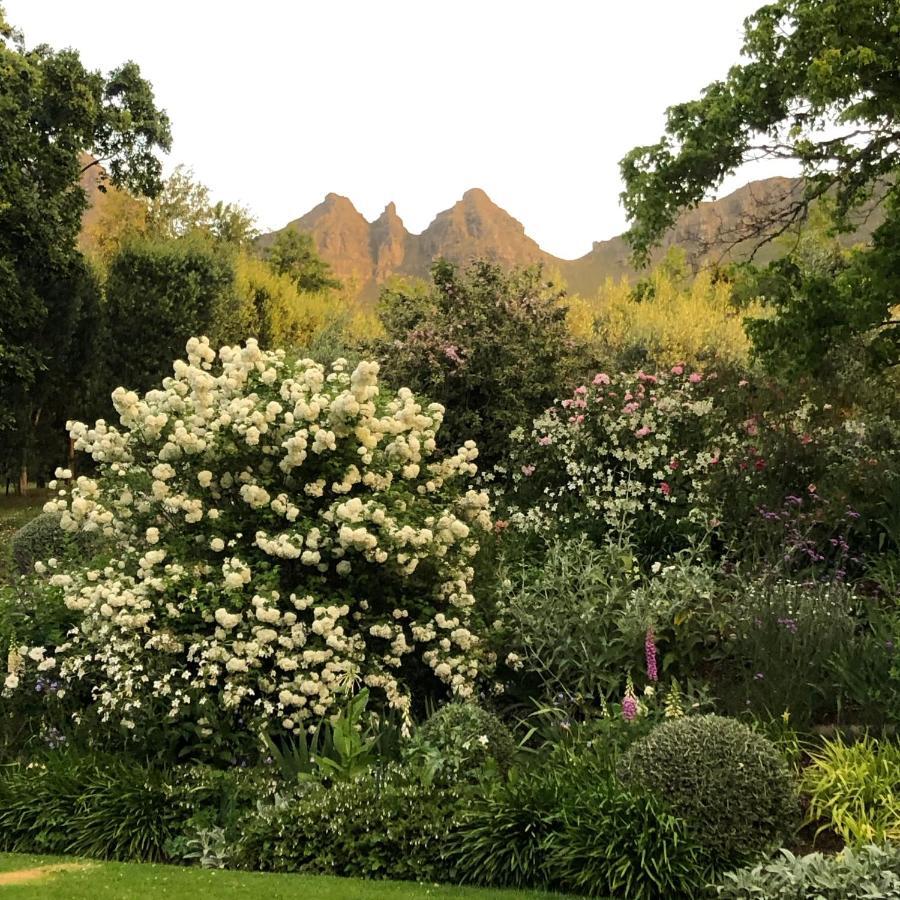 Longfield House Stellenbosch Exterior foto